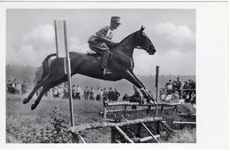 51740 - Deutsches Reich - 1936 - Sommerolympiade Berlin - Niederlande, "Harlekijn" Unter Oberleutnant Tonnet - Paardensport