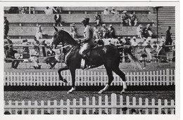 51756 - Deutsches Reich - 1936 - Sommerolympiade Berlin - Schweiz, "Revue" Unter Leutnant Moser - Horse Show