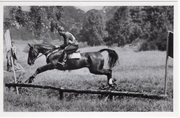 51760 - Deutsches Reich - 1936 - Sommerolympiade Berlin - Schweden, "Altgold" Unter Oberleutnant Von Stjernswaerd - Paardensport