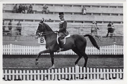 51763 - Deutsches Reich - 1936 - Sommerolympiade Berlin - Ungarn, "Fiscur" Unter General Von Pados - Reitsport