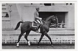 51766 - Deutsches Reich - 1936 - Sommerolympiade Berlin - Daenemark, "Jason" Unter Kapitaenleutnant Lunding - Paardensport