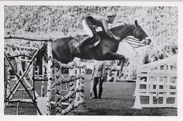 51767 - Deutsches Reich - 1936 - Sommerolympiade Berlin - Italien, "Saba" Unter Capt. Conforti - Hippisme