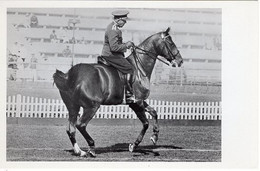 51772 - Deutsches Reich - 1936 - Sommerolympiade Berlin - Tschechoslowakei, "Ideal" Unter Capt. Pechmann - Horse Show