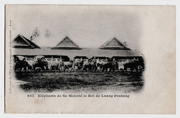 CPA: LAOS : Eléphants De Sa Majesté Le Roi De Luang-Prabang-  CIRCULEE  1932 (Départ HANOI) PEU COURANTE - Laos