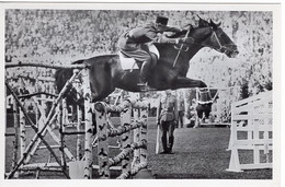 51774 - Deutsches Reich - 1936 - Sommerolympiade Berlin - Ungarn, "Pokai" Unter Rittmeister Szepessy - Horse Show