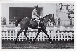 51783 - Deutsches Reich - 1936 - Sommerolympiade Berlin - Italien, "Dardo" Unter Capt. Chiantia - Paardensport