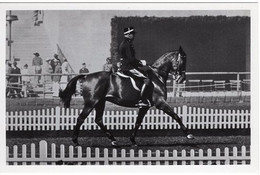 51784 - Deutsches Reich - 1936 - Sommerolympiade Berlin - Norwegen, "Jaspis" Unter Rittmeister Quist - Horse Show