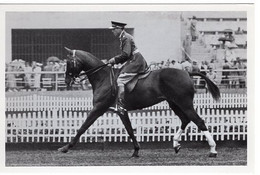 51785 - Deutsches Reich - 1936 - Sommerolympiade Berlin - USA, "Slippery-Slim" Unter Capt. Willems - Horse Show