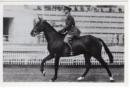 51789 - Deutsches Reich - 1936 - Sommerolympiade Berlin - Grossbritannien, "Bob Clive" Unter Capt. Scott - Horse Show