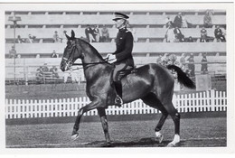 51790 - Deutsches Reich - 1936 - Sommerolympiade Berlin - USA, "American-Lacy" Unter Capt. Kitts - Horse Show