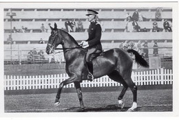 51790 - Deutsches Reich - 1936 - Sommerolympiade Berlin - USA, "American-Lacy" Unter Capt. Kitts - Hippisme