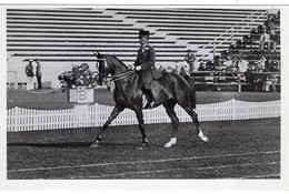 51791 - Deutsches Reich - 1936 - Sommerolympiade Berlin - Ungarn, "Csintalan" Unter Oberstleutnant Kemery - Horse Show