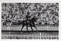 51792 - Deutsches Reich - 1936 - Sommerolympiade Berlin - Ungarn, "Tuecsoek" Unter Oberst Von Magashazy - Horse Show