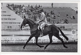 51795 - Deutsches Reich - 1936 - Sommerolympiade Berlin - Schweden, "Monaster" Unter Oberleutnant Nyblaeus - Horse Show