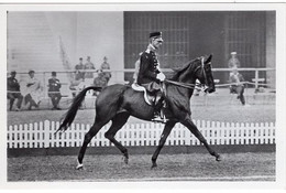 51796 - Deutsches Reich - 1936 - Sommerolympiade Berlin - Niederlande, "Ad Astra Von Alex XX" Unter Capt. Versteegh - Horse Show