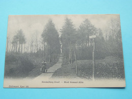 KEMMELBERG-DREEF - Mont KEMMEL Allée ( Callewaert Yper 105 ) Anno 19?? ( Zie / Voir Scan ) ! - Heuvelland