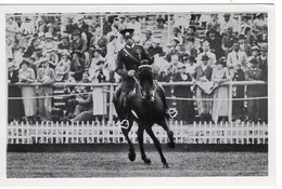 51800 - Deutsches Reich - 1936 - Sommerolympiade Berlin - Tuerkei, "Kismet" Unter Oberleutnant Polatkan - Horse Show