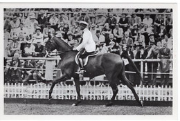 51808 - Deutsches Reich - 1936 - Sommerolympiade Berlin - Bulgarien, "Mageremlek" Unter Rittmeister Malaktschieff - Horse Show