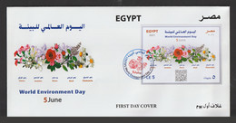 Egypt - 2021 - RARE - FDC - ( Maximum Card - World Environment Day ) - Cartas