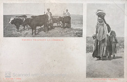 JUDAICA PALESTINE / ISRAEL RARE POSTCARD J. KATTAN  JAFFA  PAYSANNES ARABES UNDIVIDED  BACK 1905 - Palestine