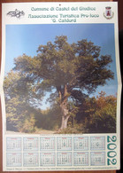 Calendario Di Castel Del Giudice 2002 - Grand Format : 2001-...