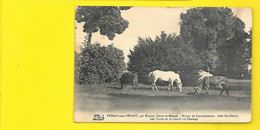 EPINAY Sous SENART Rare Asile Ste Hélène Vaches Et Cheval Au Pâturage () Essonne (91) - Epinay Sous Senart