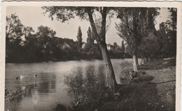 PONT- DE- ROIDE  25  DOUBS  CPSM  COINS PITTORESQUES - Autres & Non Classés