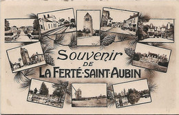 Souvenir De La FERTE SAINT AUBIN - La Ferte Saint Aubin