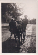 Foto Photo (6 X 8,5 Cm) Spa 1946 Attelage - Spa