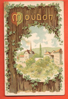 ZMM-05 RARE Litho Moudon Broye  Circulé Avec Cachet Moudon 1913 Magnenat Sans Numéro - Moudon