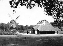 Standerdmolen Uit Mol-Millegem @  Domein Bokrijk - Genk