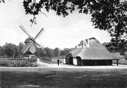 Standerdmolen Uit Mol-Millegem @  Domein Bokrijk - Genk