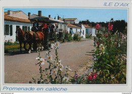 Cartes Postales ILE D'AIX Promenade En Calèche Rue Marengo Fieurie De Roses Trémières - Poitou-Charentes