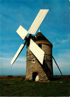 St Georges Sur Loire * Le Moulin à Vent De La Roche * Molen * Route De La Possonnière - Saint Georges Sur Loire