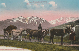 CARTE POSTALE ORIGINALE ANCIENNE : LES PYRENEES UN ATTELAGE MONTAGNARD ANIMEE HAUTES PYRENEES (65) - Attelages