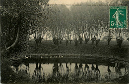 Montfermeil * étang Près La Ferme Du Moulin * étude Du Paysage - Montfermeil