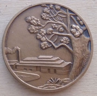 DA-117 Médaille Bronze  à Découvrir  Signée Augis Lyon Sur La Tranche - Bronzi