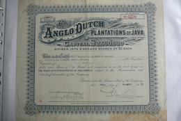 The Anglo-dutch Plantations Of Java (1936) - Landbouw