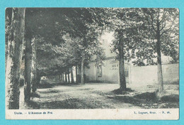 * Ukkel - Uccle (Brussel - Bruxelles - Brussels) * (L. Lagaert, Brux, Nr 18) L'avenue De Fré, Allée, Laiterie, Unique - Ukkel - Uccle