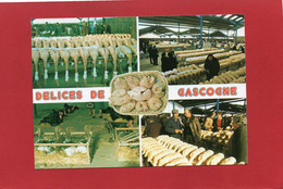 RECETTE--CUISINE----DELICES DE GASCOGNE---marché Aux Oies Grasses---multi-vues--voir 2 Scans - Recettes (cuisine)