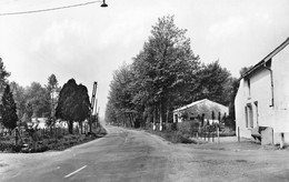 WONCK (Vallée Du Geer) - La Route Vers BASSENGE - Photo Carte Non Circulé - Bassenge