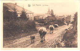 CP De Les Hayons(Florenville) : Le Village. - Florenville