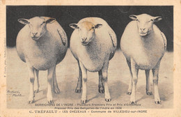 CPA 36 COMMUNE DE VILLEDIEU SUR INDRE LES CHEZEAUX C.TREFAULT 1ER PRIX DES BERGERIES DE L'INDRE (cpa Rare - Sonstige & Ohne Zuordnung