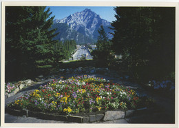 CANADA  BANFF  Avenue And Cascade Mountain - Postales Modernas