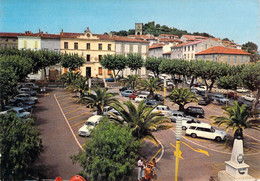 83 - Cogolin - Place De L'Hôtel De Ville - Cogolin