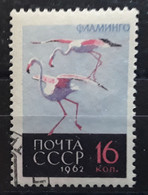 RUSSIE ROSSIJA RUSSIA 1962, Flamingo Flamant Rose,  Obl TB - Flamingos