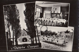 Postkaart/Carte Postale - OVERPELT - 't Pelterke (C1992) - Overpelt