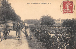 CPA 37 VENDANGES DE TOURAINE - Altri & Non Classificati