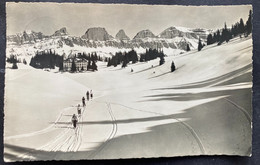 Oberterzen Flumserberge/ Skiläufergruppe/ Churfirsten - Flums