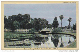 Florida Jacksonville Scene At Springfield Park Dexter Press - Jacksonville